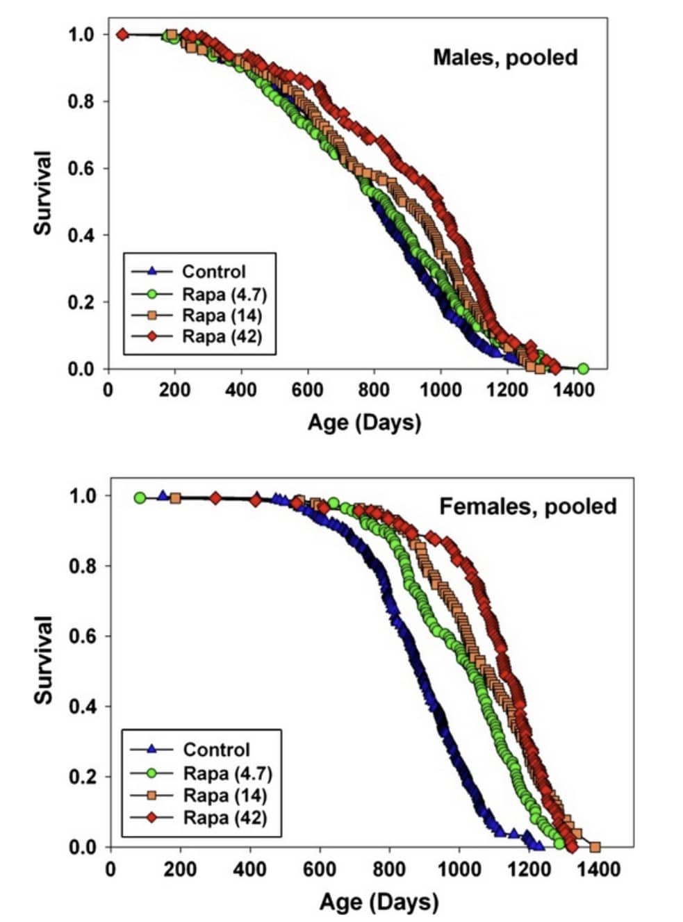 rapamycin lifespan studies different doses rapamycin lifespan studies different doses